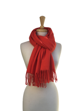 PA3 - Large Fringed Pashmina